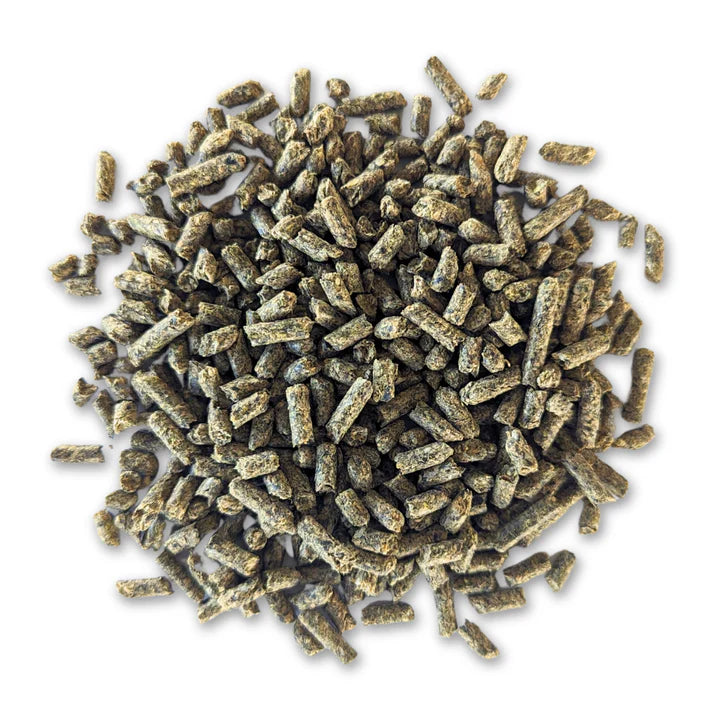 Bluebonnet Limited