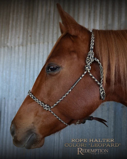 Hay Chix Redemption Rope Halters- R. Leopard