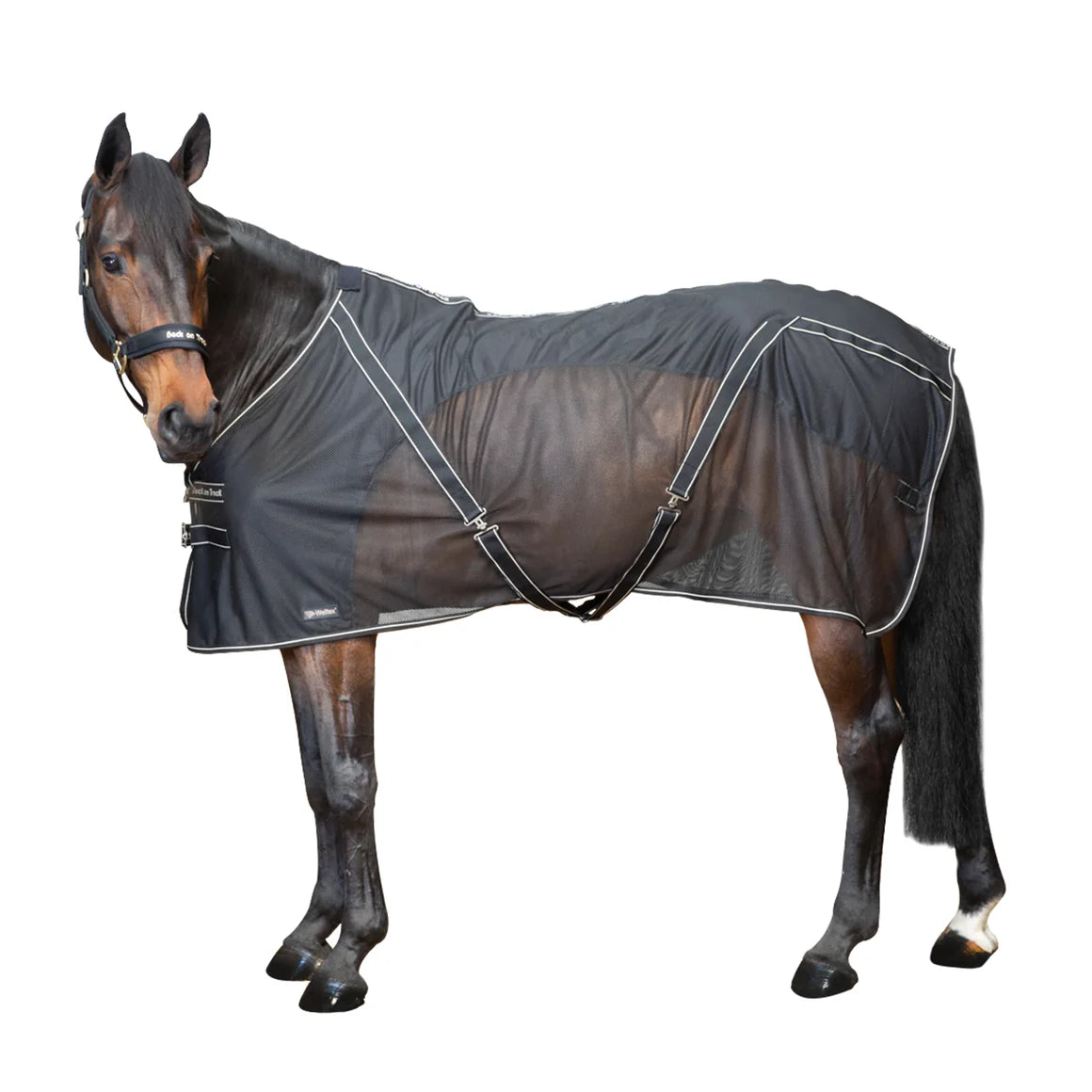Back On Track Sienna Horse Mesh Cooler