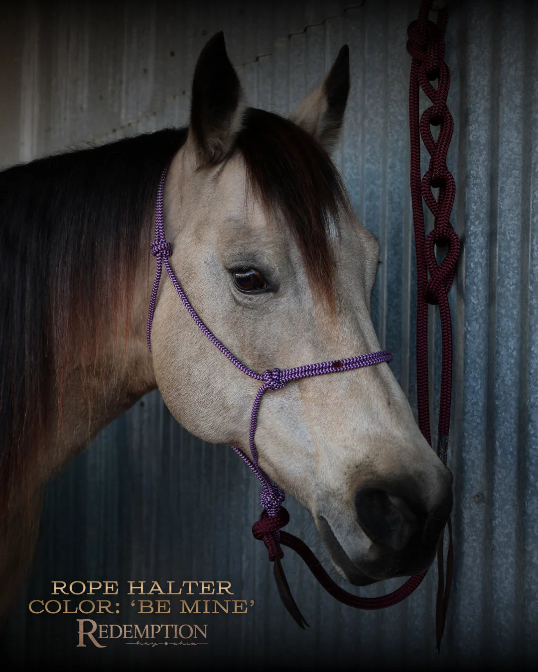 Redemption Rope Halters- Be Mine