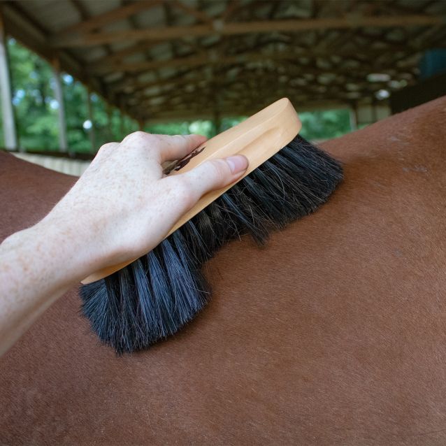 CLEARANCE - Tough 1 The Greatest Horse Hair Brush