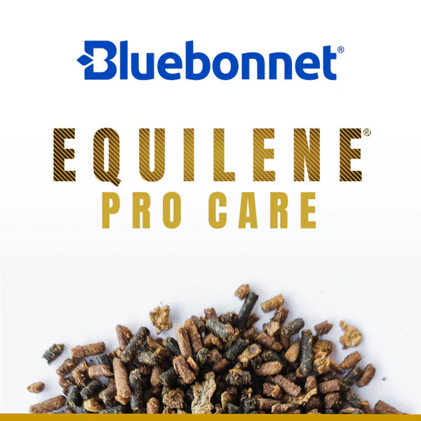 Bluebonnet Procare