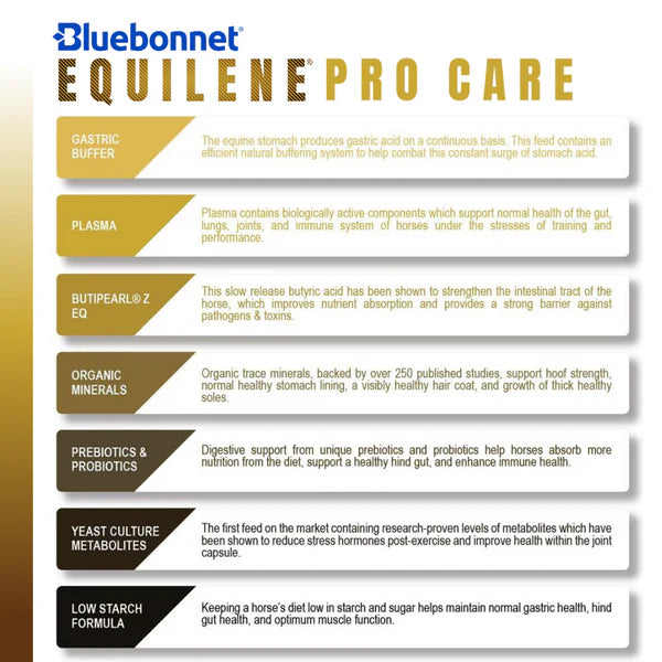 Bluebonnet Procare