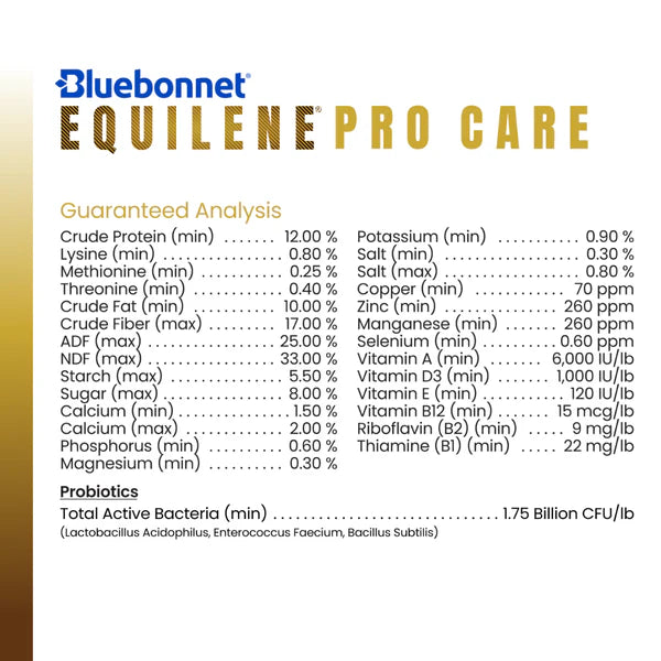 Bluebonnet Procare