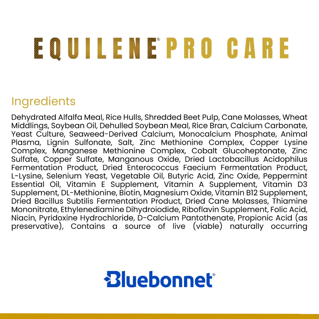 Bluebonnet Procare