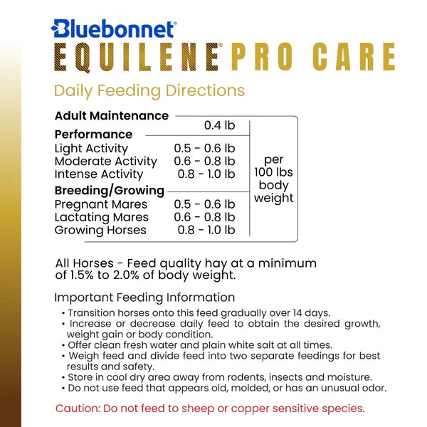Bluebonnet Procare