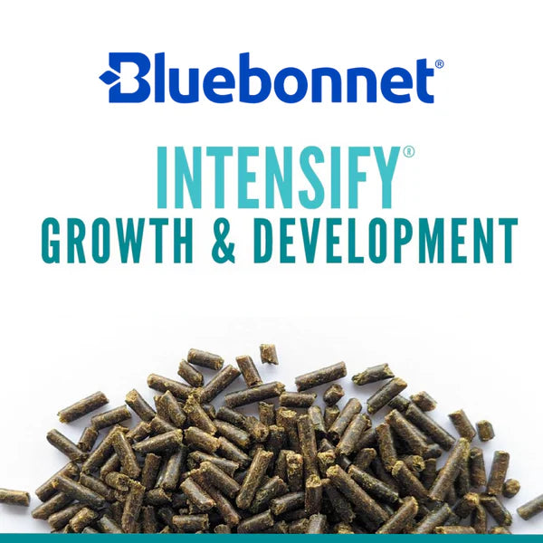 Bluebonnet Intensify Growth & Development