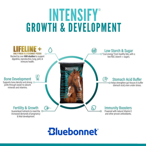 Bluebonnet Intensify Growth & Development