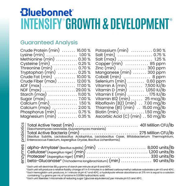 Bluebonnet Intensify Growth & Development