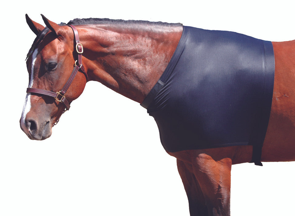 CLEARANCE - Sleazy Sleepwear For Horses - Should Guard - Nylon Lycra