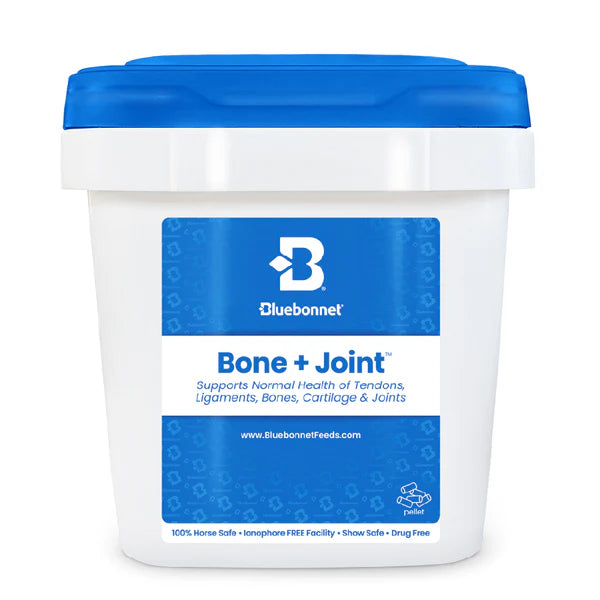Bluebonnet Bone + Joint