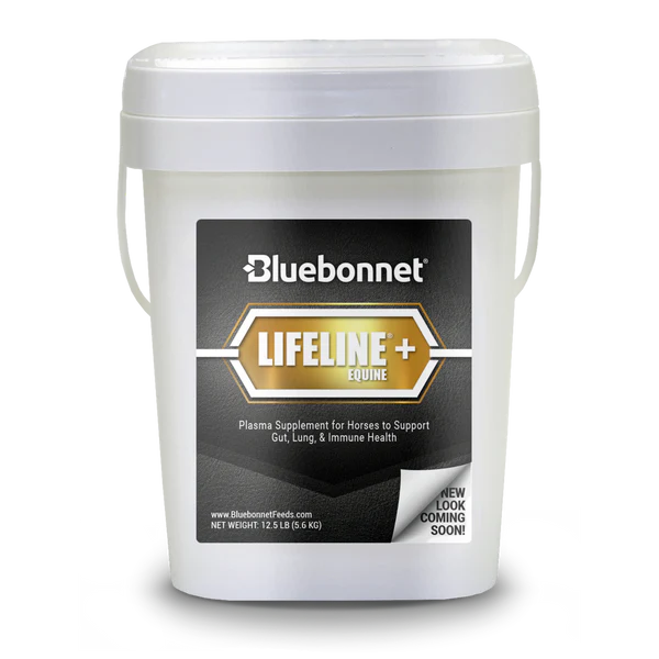 Bluebonnet Lifeline +