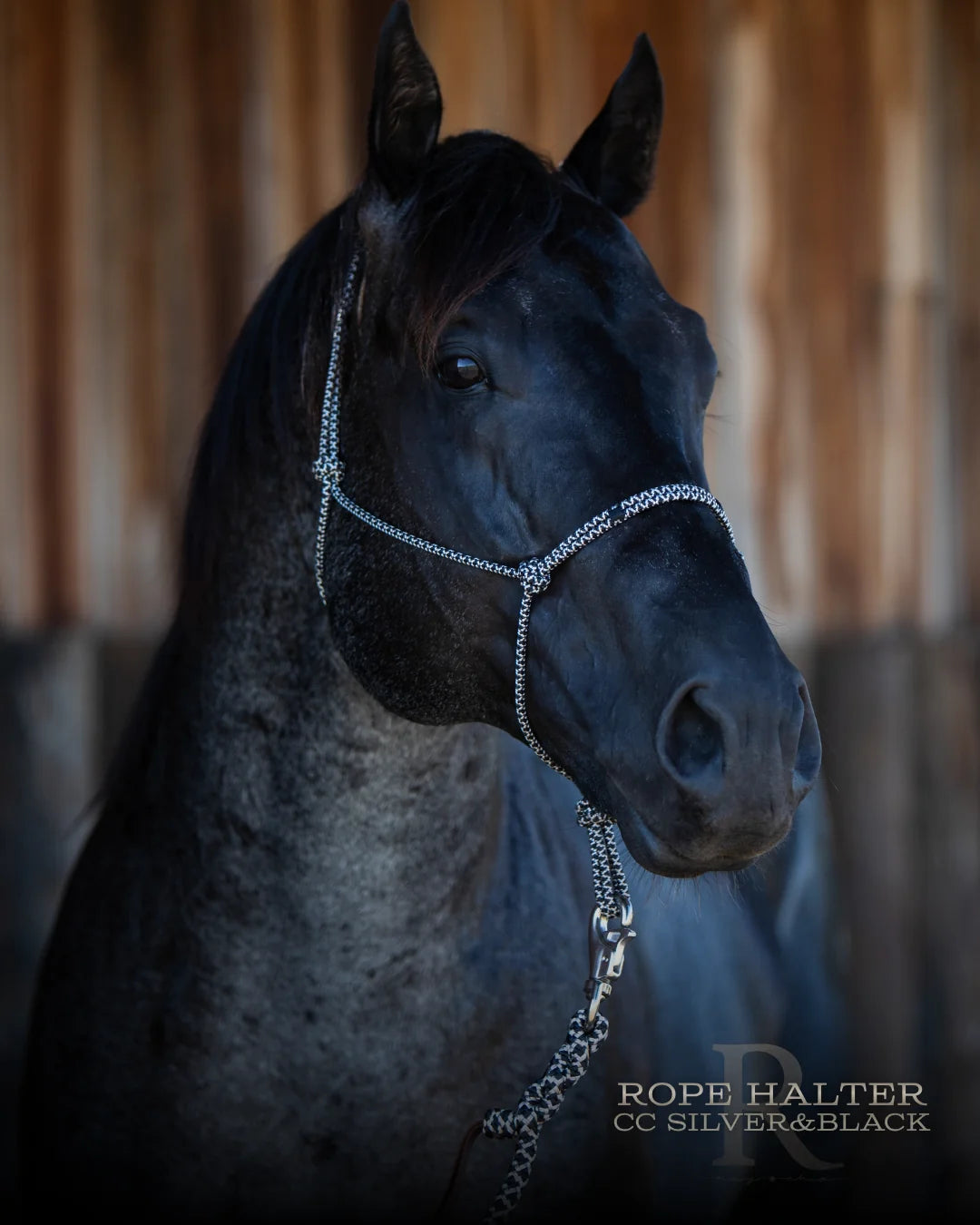 CC Silver & Black - Hay Chix Redemption Rope Halters