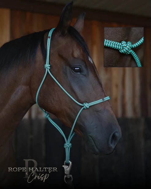 Hay Chix Redemption Rope Halters- Crisp