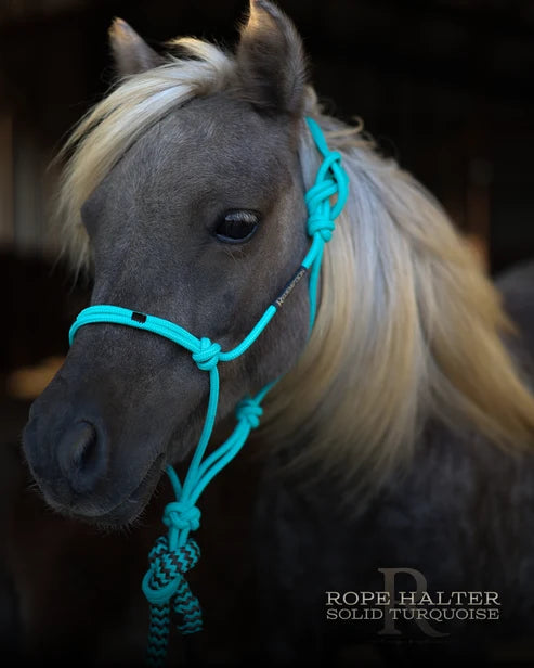 Hay Chix Redemption Rope Halters- S. Turquoise