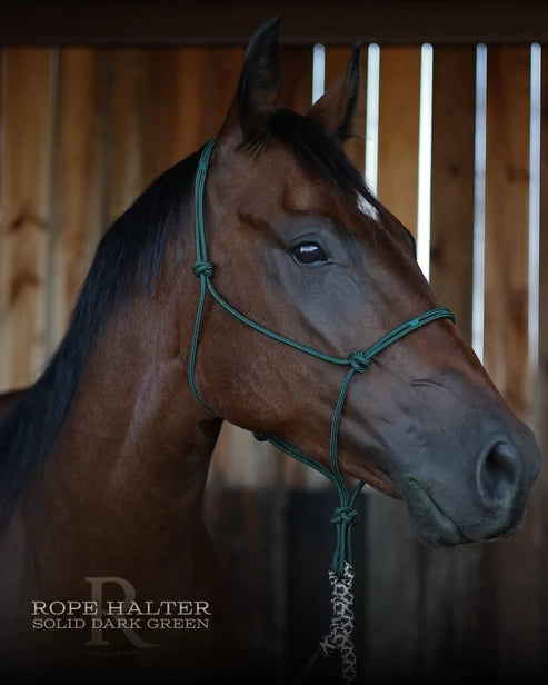 Hay Chix Redemption Rope Halters- S. Dk Green