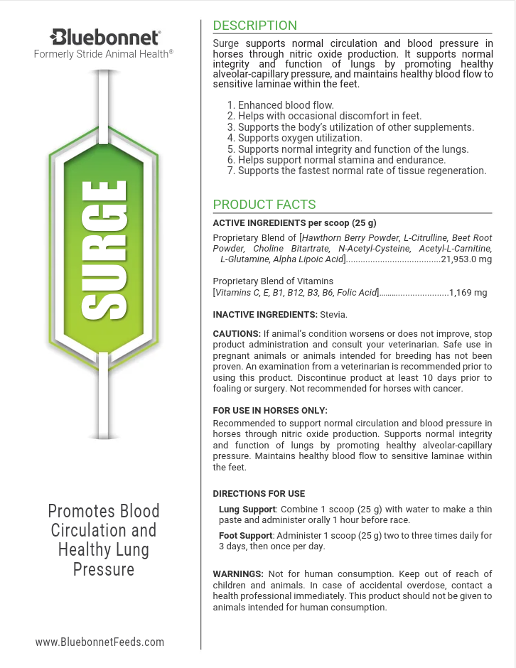 Bluebonnet Surge Powder
