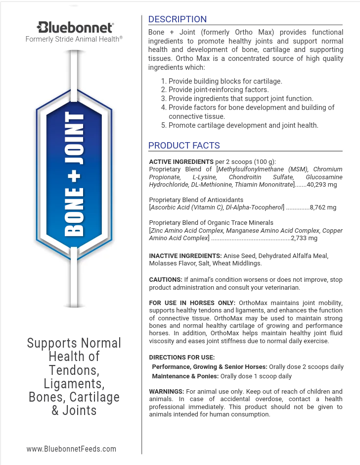 Bluebonnet Bone + Joint
