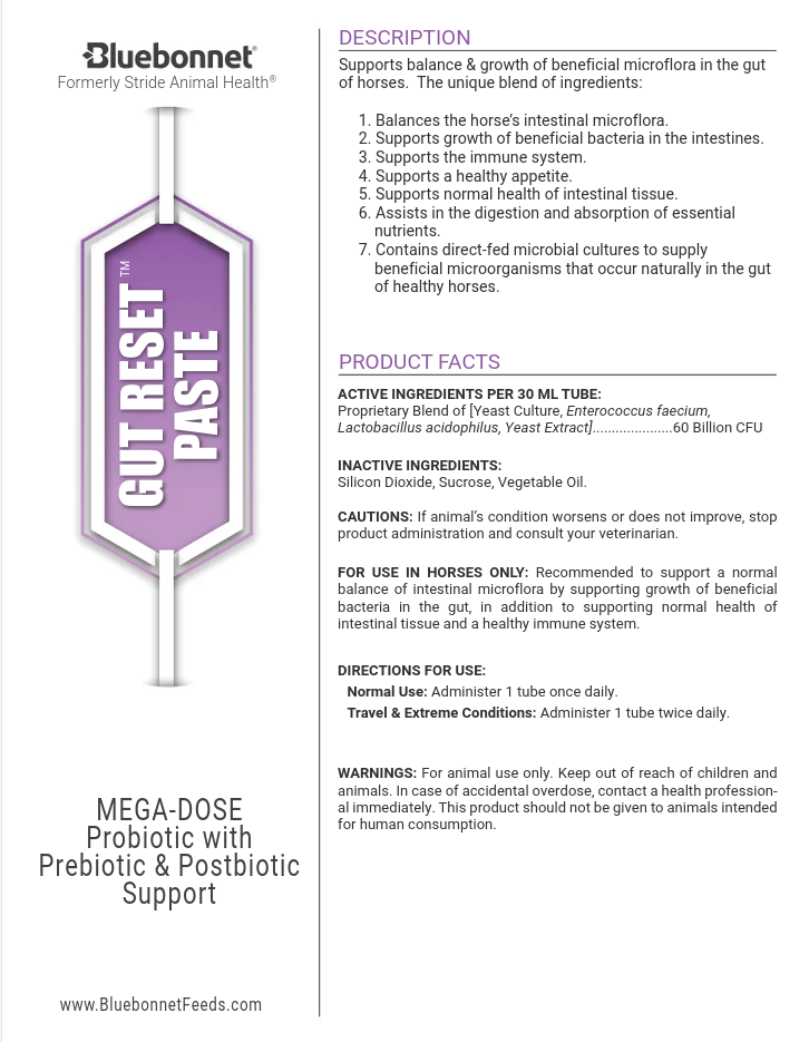Bluebonnet Gut Reset Paste