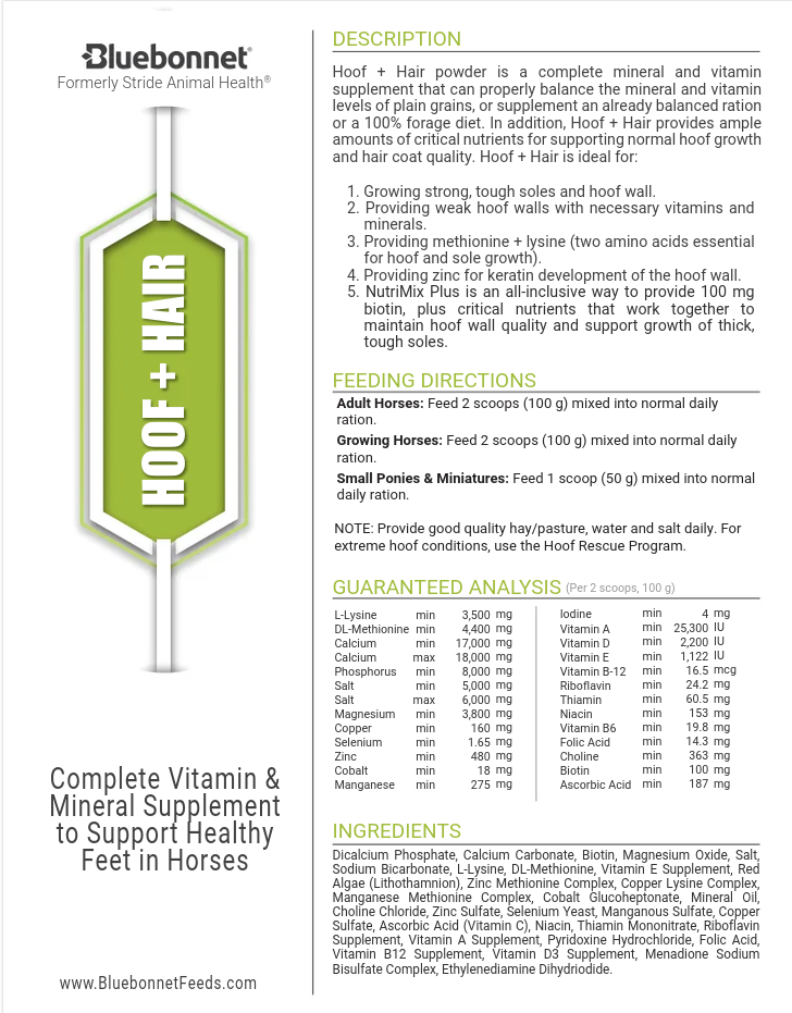 Bluebonnet Hoof + Hair