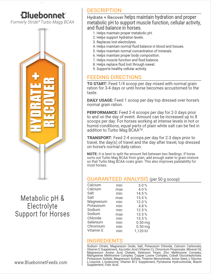 Bluebonnet Hydrate + Recover