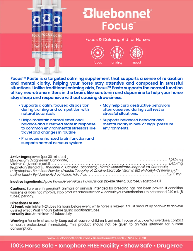 Bluebonnet Focus Paste