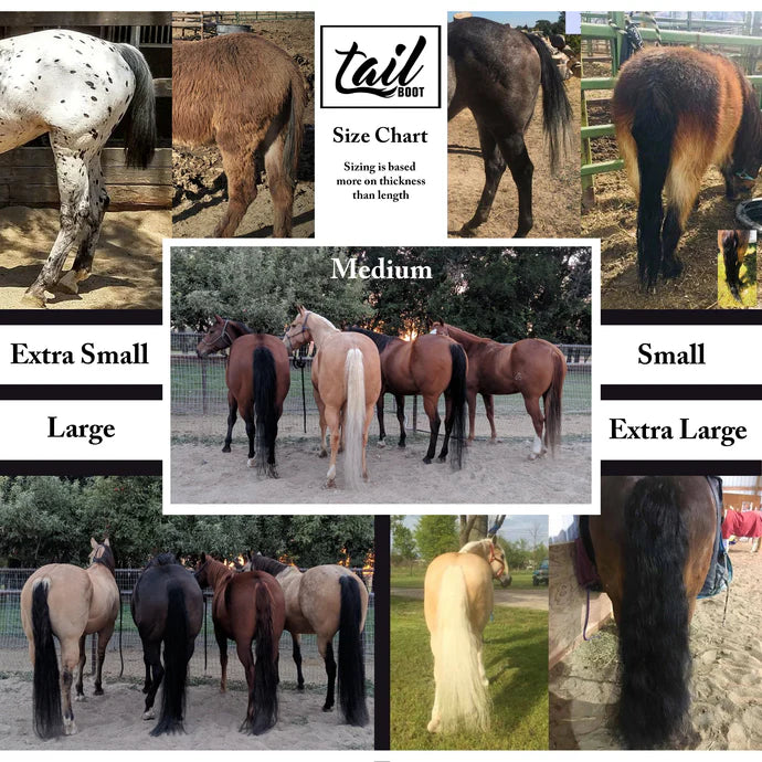 The Tail Boot - Pink