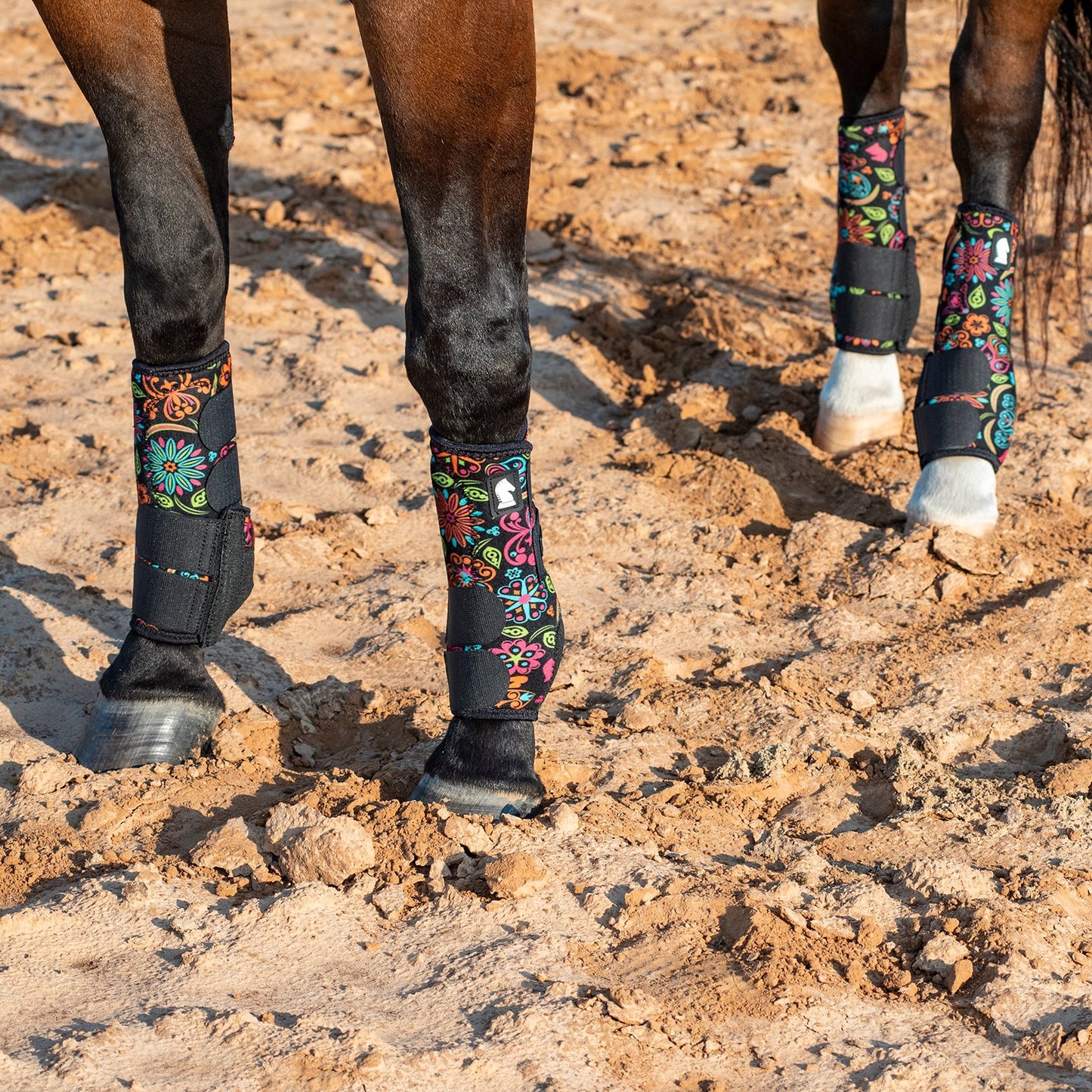 Classic Equine Legacy2 Support Boots- Full Set - Neon Flower