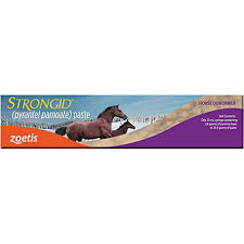 Zoetis Single Dose Horse Strongid Paste