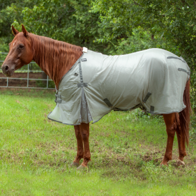 Cashel Econo Fly Sheet - NO HOOD
