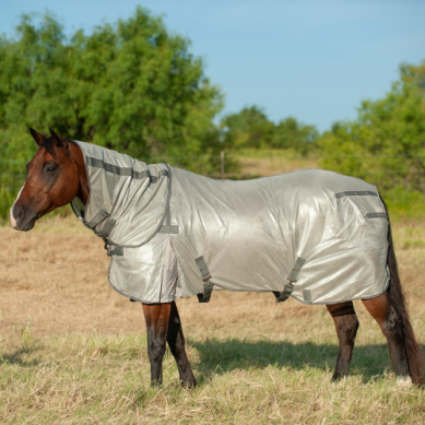 Cashel Econo Fly Sheet W/ Neck Guard