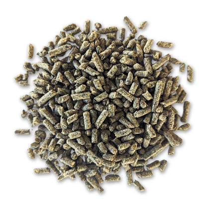 Bluebonnet Limited