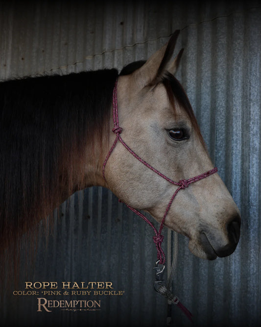 Hay Chix Redemption Rope Halters- Pink & Ruby Buckle