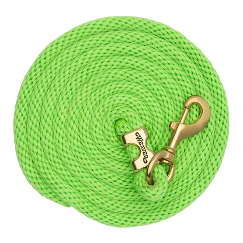 Weaver Equine Poly Lead Rope - 10 ft - Lime Zest