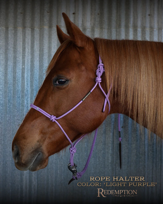 Hay Chix Redemption Rope Halters- S. Lt Purple