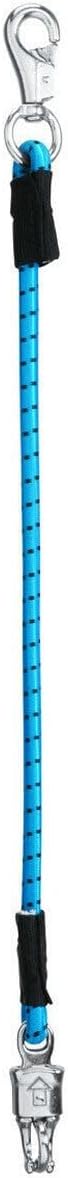 Weaver Bungee Trailer Tie - Hurricane Blue