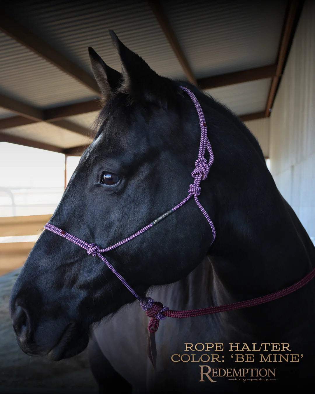 Redemption Rope Halters- Be Mine