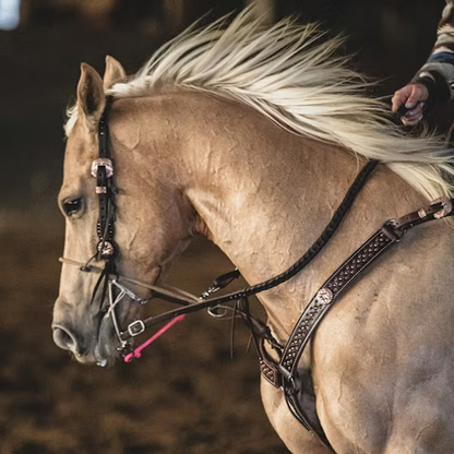 Kay  Equine - E-Lite Barrel Reins - 5/8¨