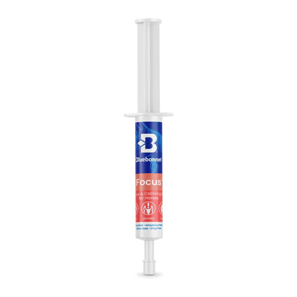 Bluebonnet Focus Paste