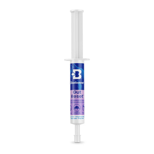 Bluebonnet Gut Reset Paste