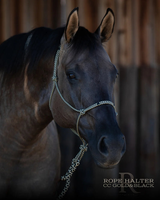 CC Gold & Black - Hay Chix Redemption Rope Halters
