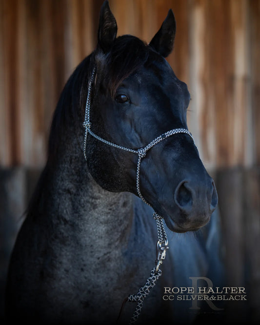 CC Silver & Black - Hay Chix Redemption Rope Halters