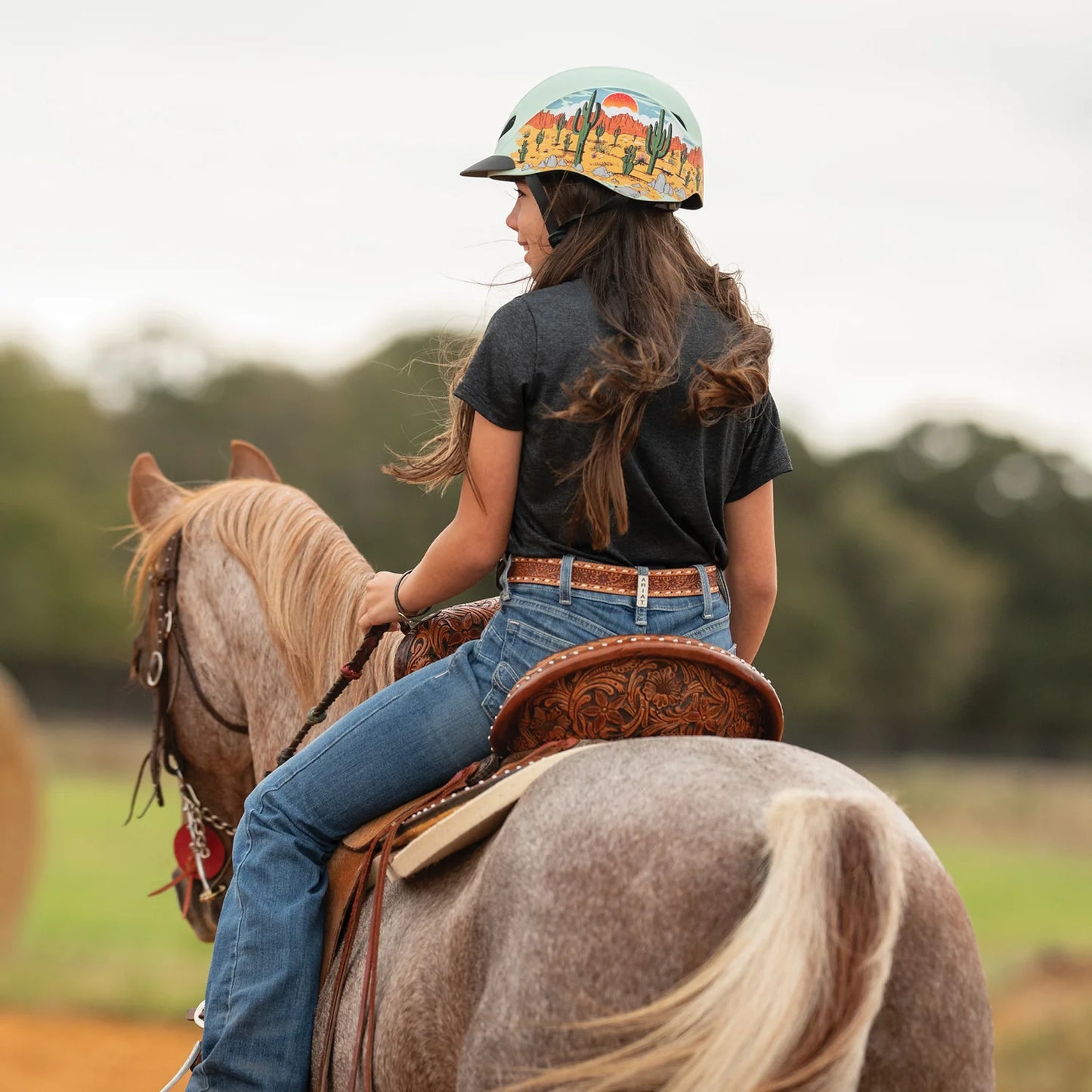 Troxel - Dynasty Riding Helmet with DialFit - Desert Sky