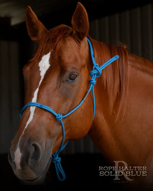 Hay Chix Redemption Rope Halters- S. Blue