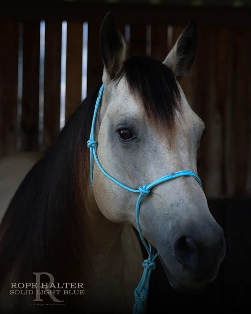 Hay Chix Redemption Rope Halters- S. Lt Blue