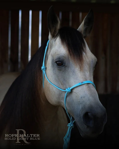 Hay Chix Redemption Rope Halters- S. Lt Blue
