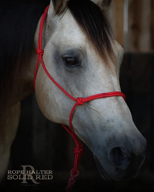 Hay Chix Redemption Rope Halters- S. Red