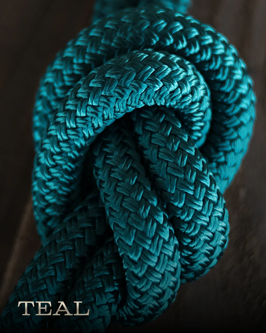 TEAL - Hay Chix Classic Collection Lead Ropes