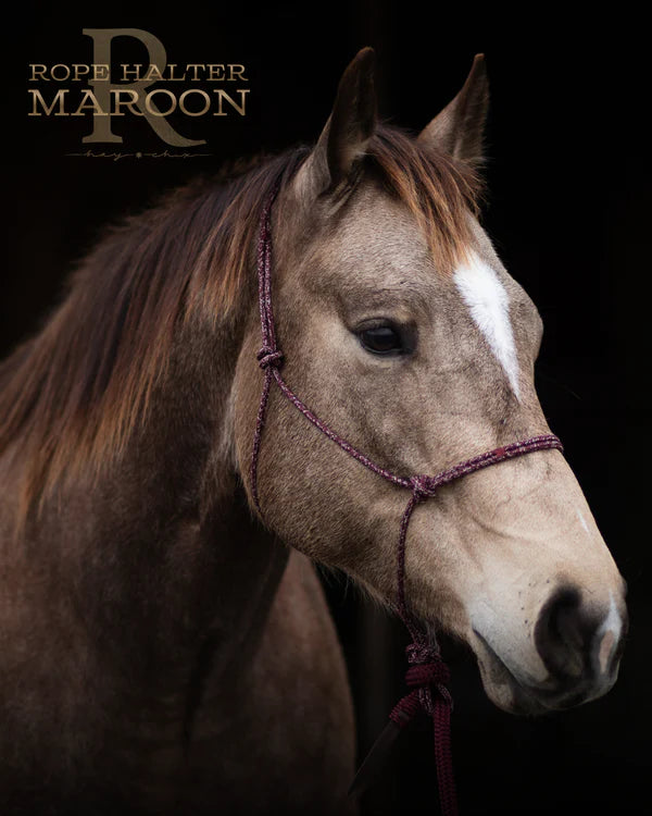 Redemption Rope Halters-  Maroon