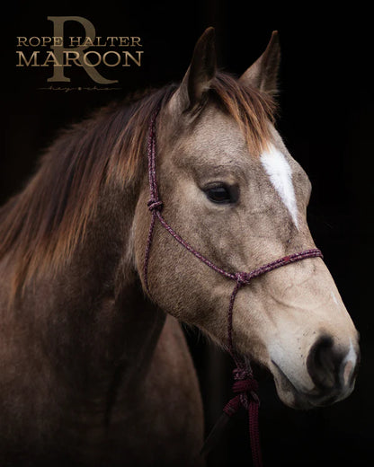 Redemption Rope Halters-  Maroon